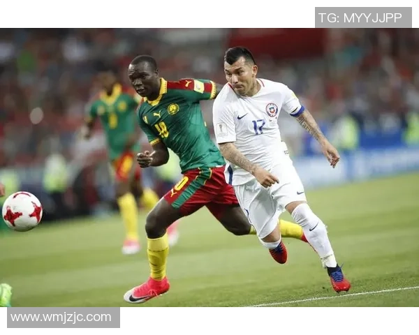 北京排球队在联合会杯中的默契配合与战术执行分析