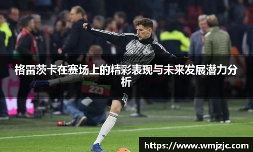 格雷茨卡在赛场上的精彩表现与未来发展潜力分析